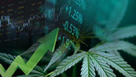 Understanding Cannabis ETFs’ Wacky Divergence