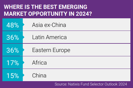 Infographic of the best emerging market opportunities in 2024, including: Asia ex-China, Latin America, Eastern Europe, Africa, and China in descending order. 