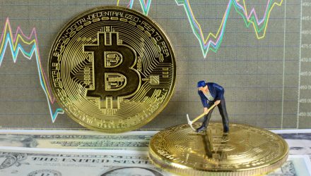 Bitcoin Halving What Bitcoin’s Future Means for Investors