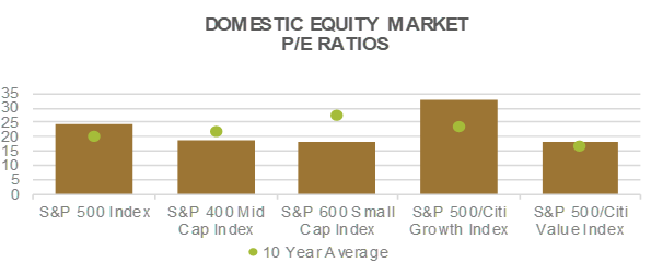 Domestic Equity Market