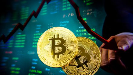 Bitcoin Decline a Blip on Way to Higher Prices, Say Analysts