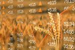 The Case for Bullish Wheat Prices Continues to Build