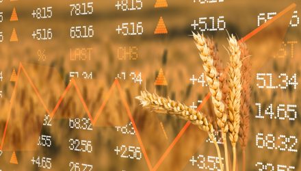 The Case for Bullish Wheat Prices Continues to Build