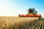 Tighter Supply in Grains Could Push Ag Commodities Higher