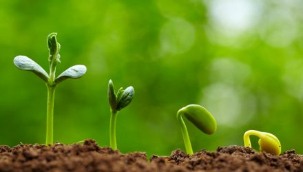 Some Green Shoots for Municipal Bonds
