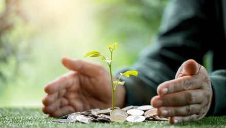 This Growth Sector Has Strong Q4 Earnings Prospects