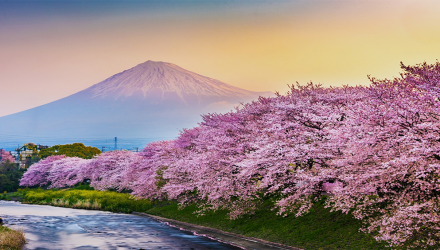 The Nikkei Has Room to Run
