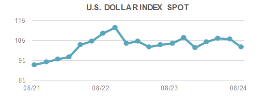 US Dollar Spot Index