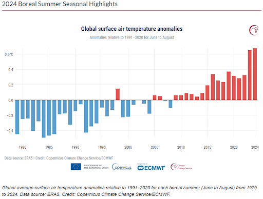 Bar chart of global surface air temperature anomalies during the summer months between 1980-2024 compared to 1991-2020 averages.