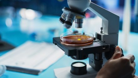 Biotech ETF SBIO Laps Tech Rivals Over 1 Year
