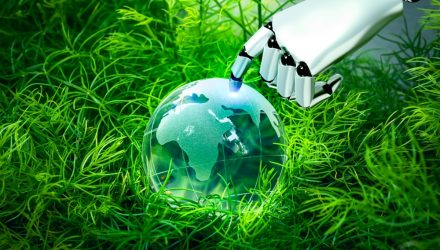 2024 Recap for Pureplay Robotics Ecosystem and Outlook Ahead