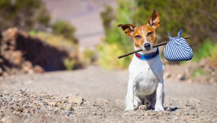 Thinking of Taking a Sabbatical Here’s How to Make it a Reality