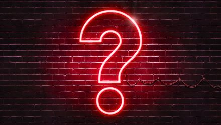 Trump Wins, Fed Cuts, Market Rips, Now What?