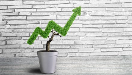 Look to Active Investing for Post-Election Market Growth
