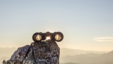 The Election Is Over — What Is Next?
