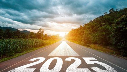 Heading Into 2025, Munis Matter for Income Investors