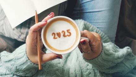 Thinking About 2025? Consider this Quality ETF
