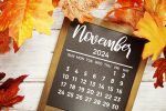 Recapping the Markets in November