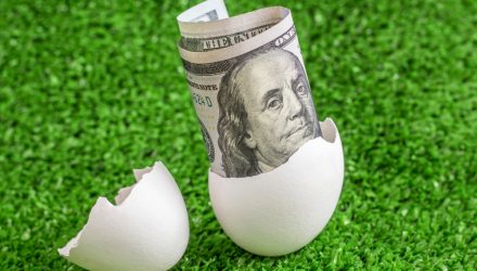 New Options ETFs From NestYield Offer Defensive Shells
