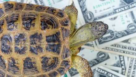 Tortoise Capital Converts Closed-End Funds Into Active ETF