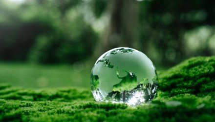 The Case for Carbon Investing Under a Trump Administration