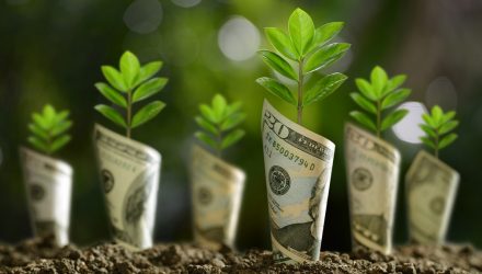 Growth Strategies Expected to Broaden in 2025