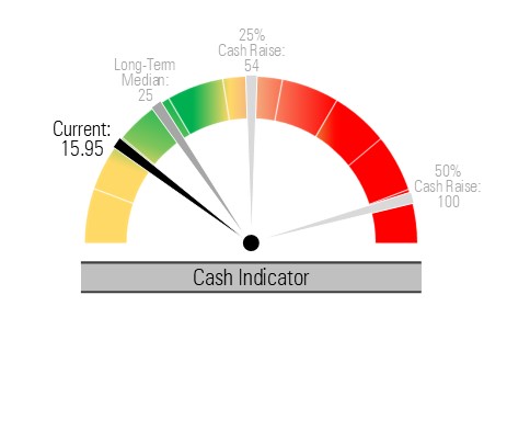 Cash Indicator January 2025