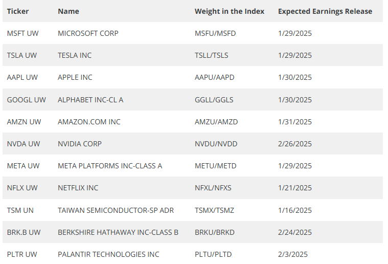 Company weight in index