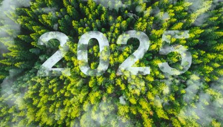 5 Fundamental Drivers of 2025 Carbon Markets