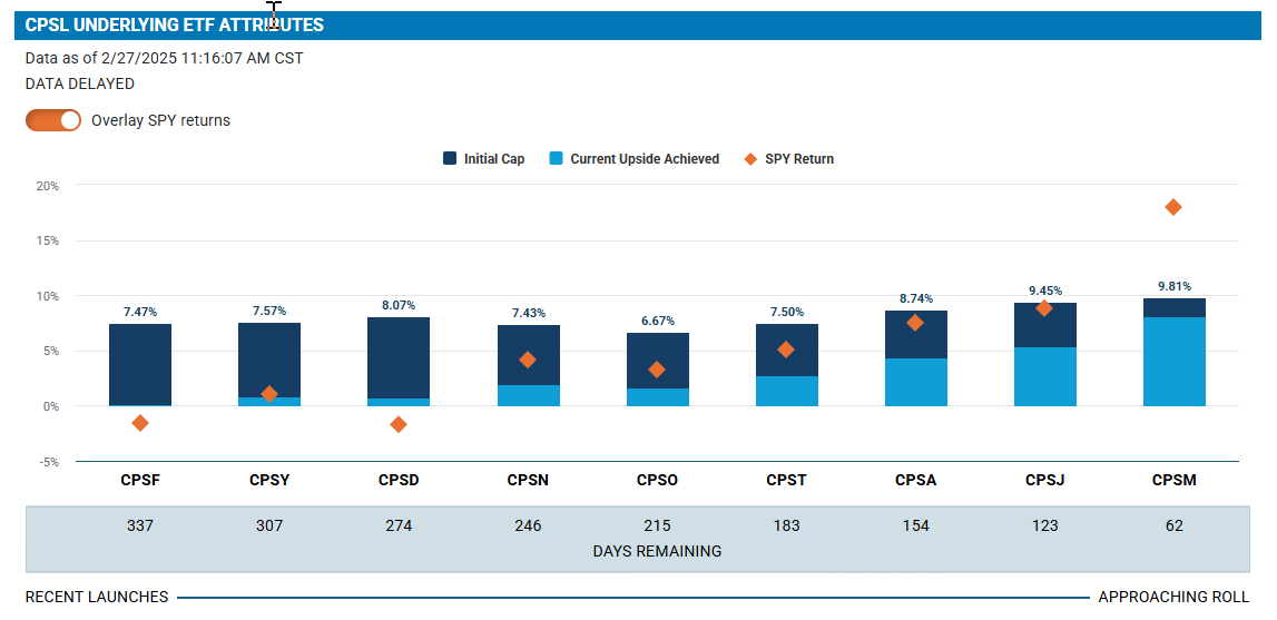 Looking for a Cash Alternative? Give CPSL a Look