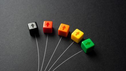 An Investor’s Guide to Understanding an Option’s Value