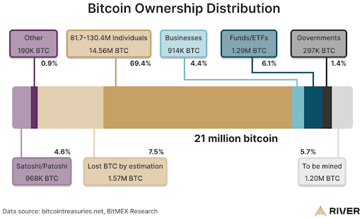 Infographic breakdown of who owns bitcoin and how much they hold. Includes individuals, businesses, funds/ETFS, governments, and other.