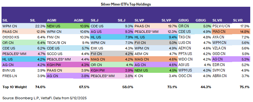 Silver minder ETF Top Holdings