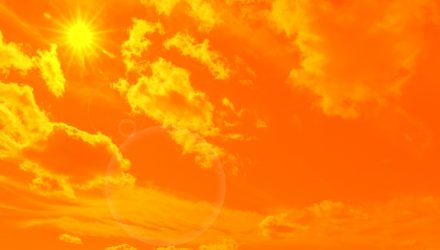 Extreme Heat & AI Demand Drive ELFY Surge