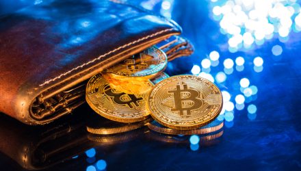 Number of Big Bitcoin Wallets on the Rise