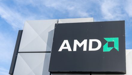 Nvidia Isn't the Only Name to Watch; Give AMD a Look