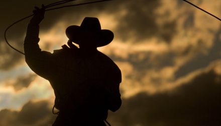 Midyear Sector Roundup: AI Enthusiasm Drives Returns