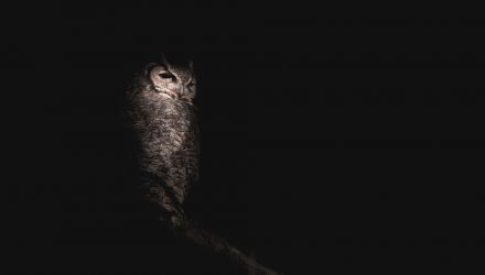Will the Next Fed Chair Lurk in the “Shadows”?