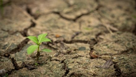 Notes from the Desk: Resilient Labor, Resilient Valuations
