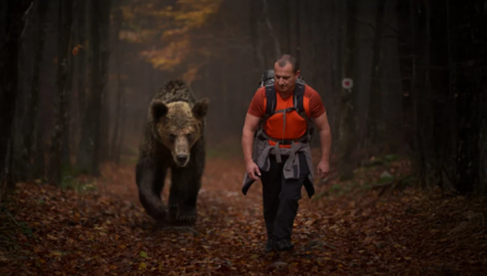 All Time Highs? Can’t Bear It? SPDN’s Got You.