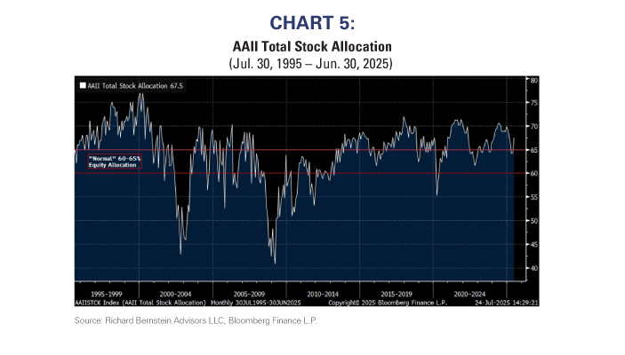 AAII Total Stock Allocation
