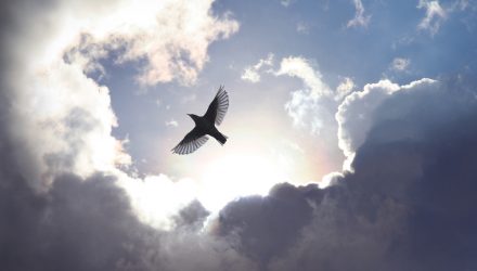 Crypto Miners Are Spreading Their Wings