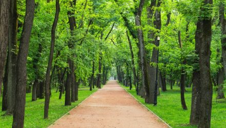 Equities: An Overlooked Path to Crypto for Advisors