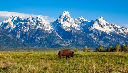 Weekly Economic Snapshot: Labor Market Weakness & the Jackson Hole Rally