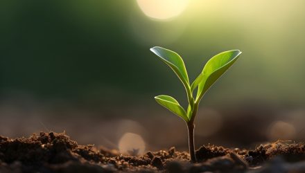 Single, Ready to Mingle: These ETFs Continue to Sprout