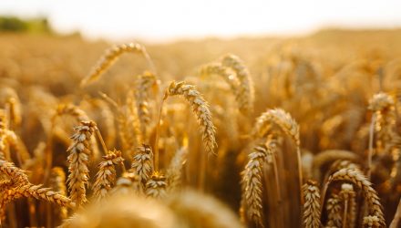 Tax Loss Harvesting Why Active ETFs Can Help