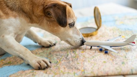 Here Are the Factors Boosting International ETF IDOG