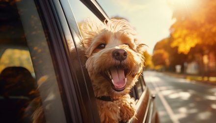 3 Standout Stocks Driving International ETF IDOG’s YTD Numbers