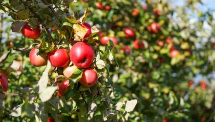 Hedge Apple Bets With This ETF