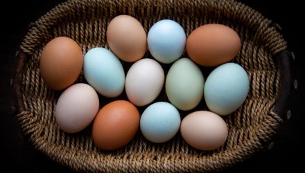Resilient Markets Call For a Diversified Approach